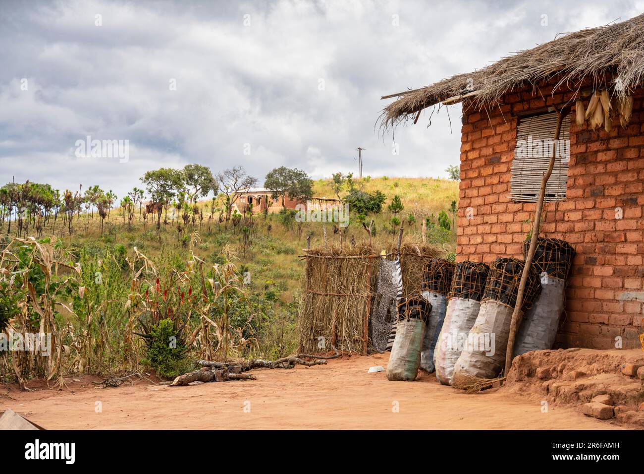 Plusieurs sacs de charbon de bois produit illégalement sont empilés contre une maison dans le Malawi rural. Banque D'Images