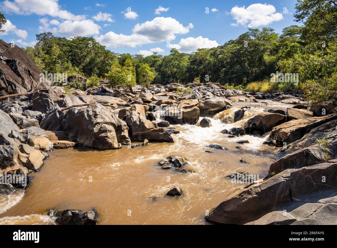 Rivière BUA dans la réserve naturelle de Nkhotakota, Malawi Banque D'Images