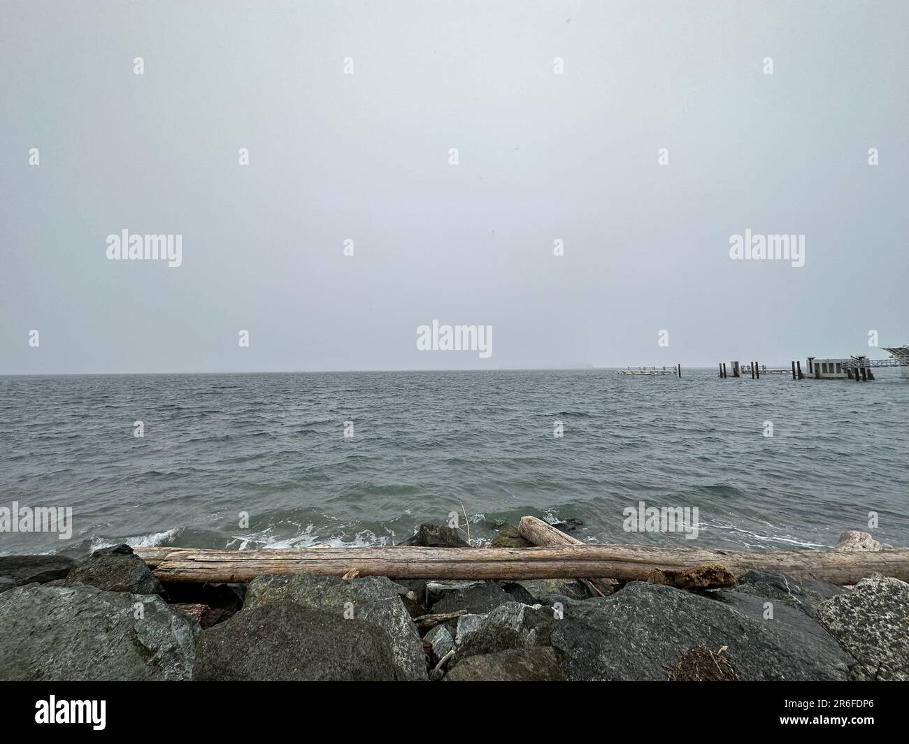 Un grand morceau de bois flotté se trouve sur une rive rocheuse avec un ciel gris et des eaux sombres, près de Sidney, en Colombie-Britannique Banque D'Images