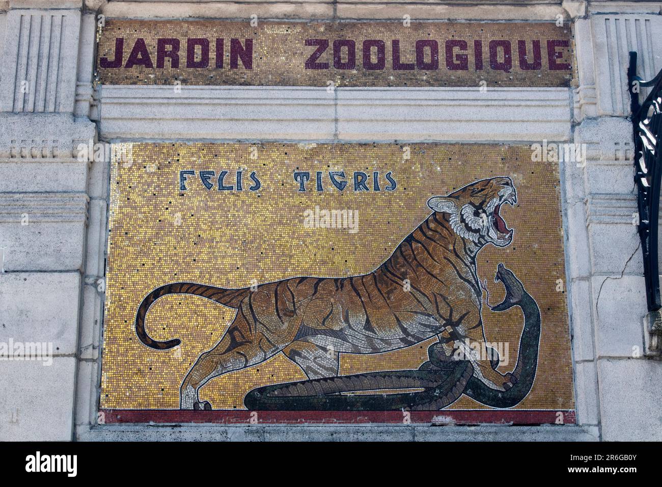 Mosaïque d'un tigre sur la porte d'entrée du zoo d'Anvers, Belgique Banque D'Images