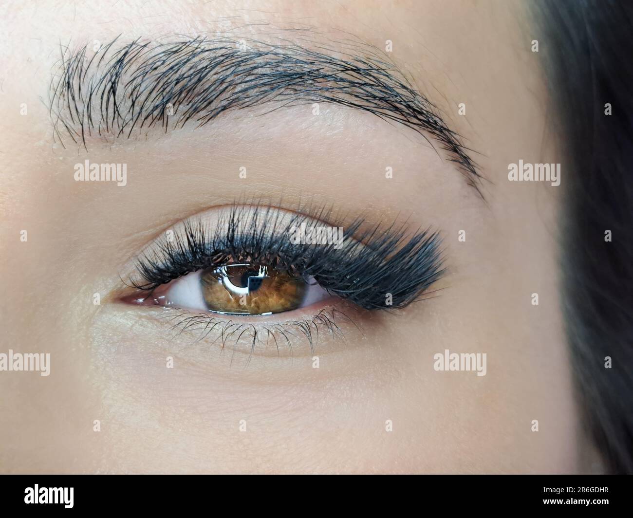 gros plan de l'œil avec extensions de cils dans le salon de beauté Banque D'Images