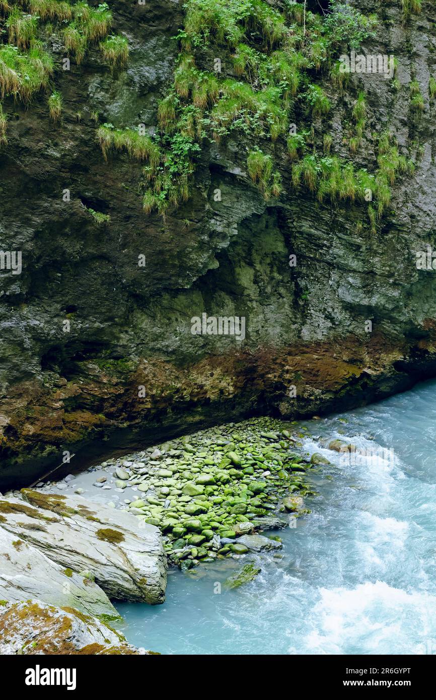 Gorge d'Aare en Suisse. C'est une gorge alpine pittoresque avec une rivière bleu turquoise pâle qui coule à travers elle. Banque D'Images