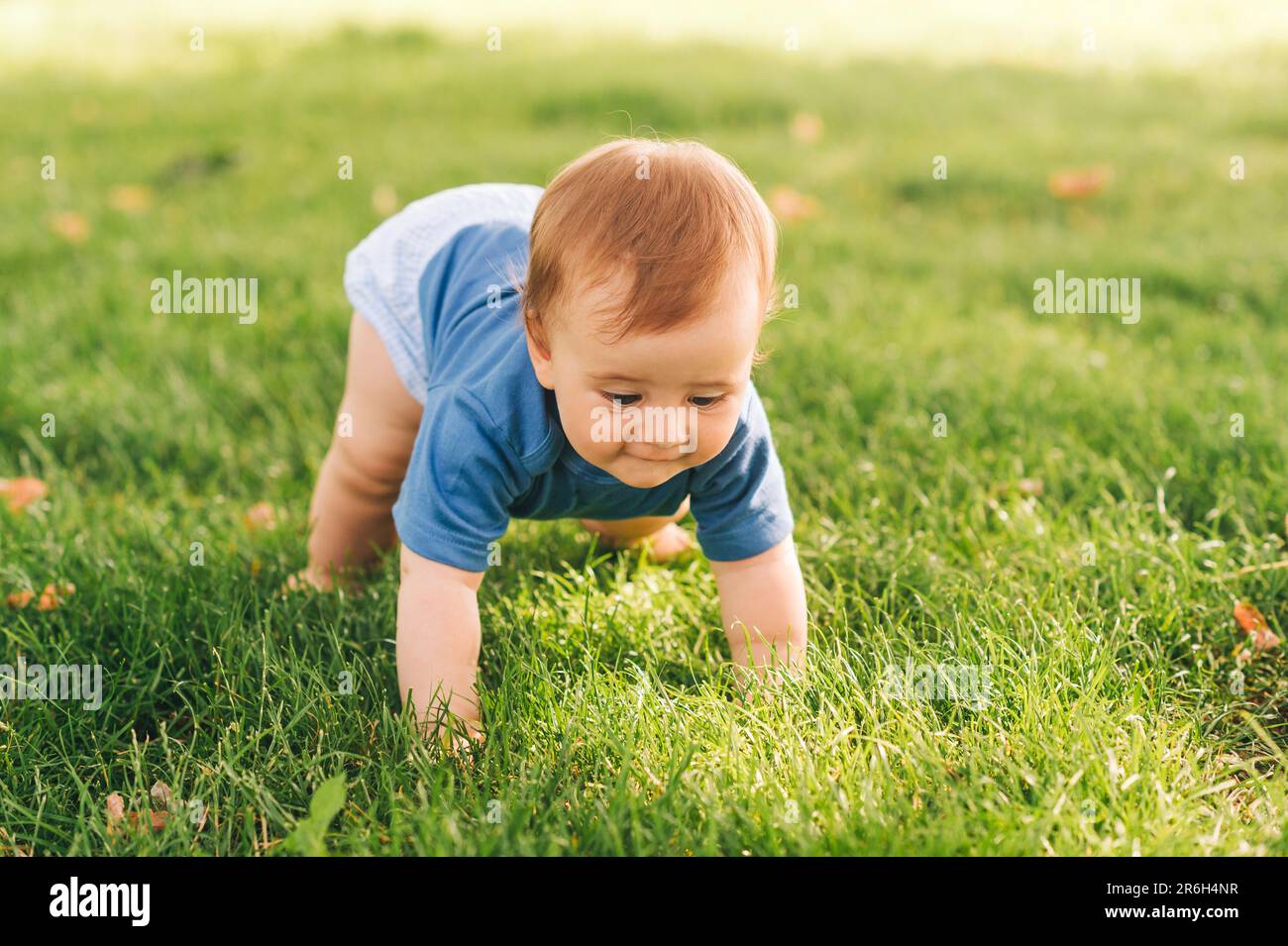 Adorable bébé garçon aux cheveux rouges rampant sur de l'herbe verte fraîche dans le parc d'été Banque D'Images