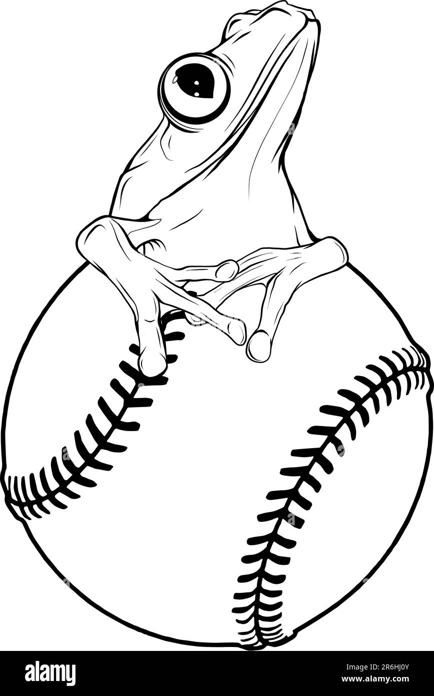 Illustration vectorielle d'une grenouille monochrome assise sur un fond blanc Illustration de Vecteur