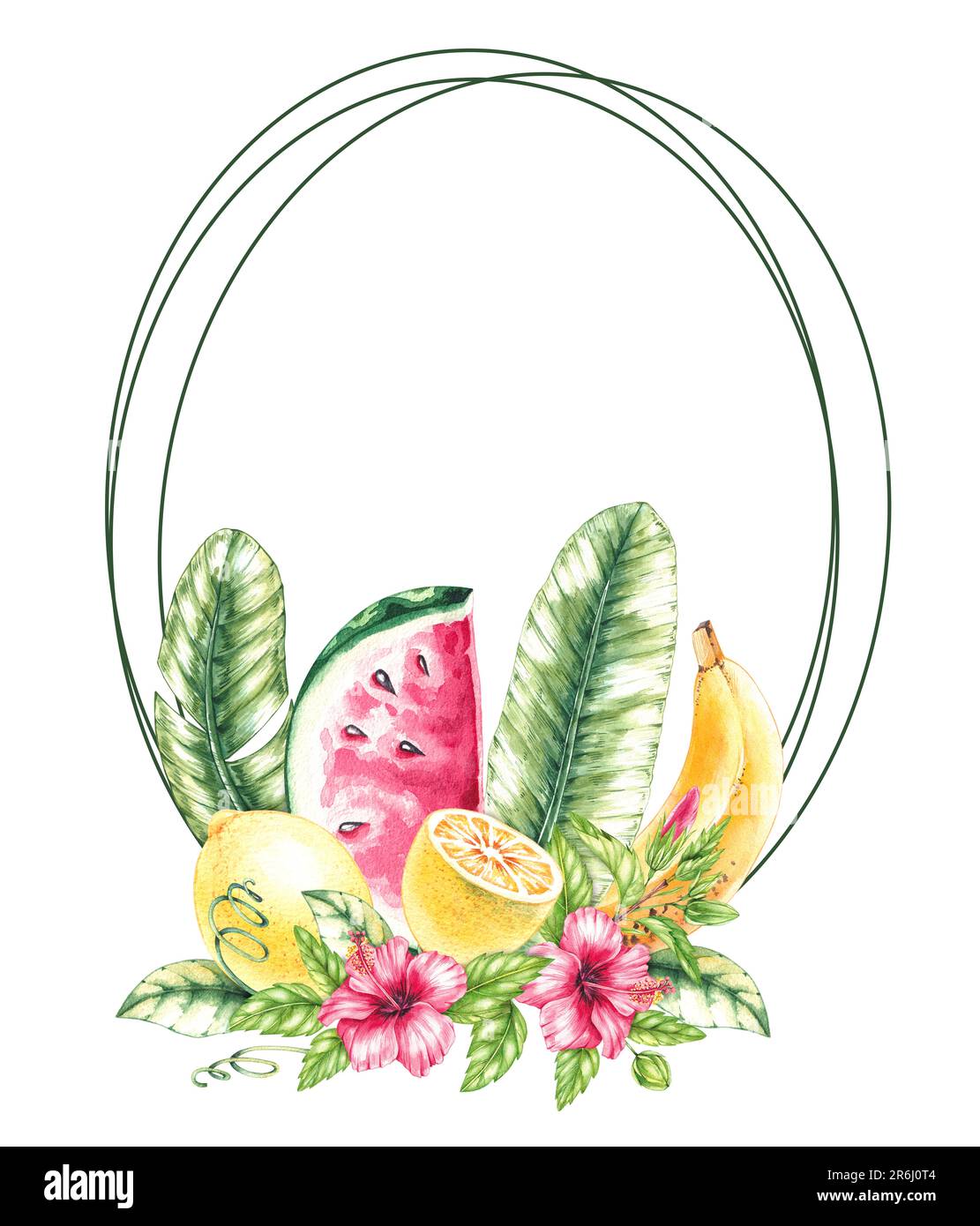 Cadre de fruits tropicaux. Fleurs d'aquarelle et d'hibiscus sur fond blanc. Illustration de l'emballage, de la nourriture, des boissons, des cartes postales, du logo Banque D'Images