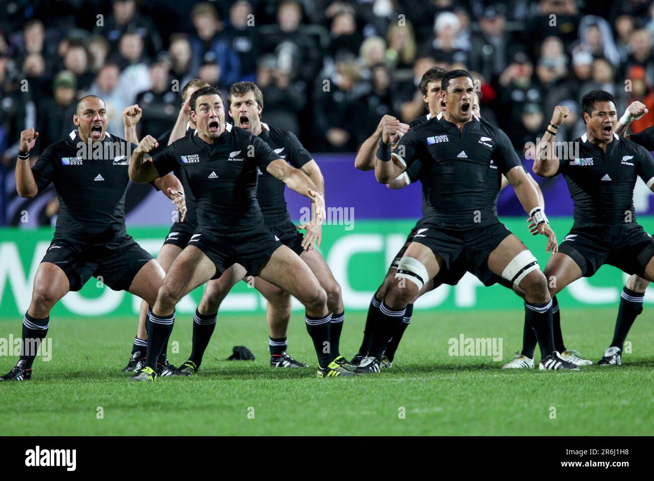 La Nouvelle-Zélande exécute un Haka avant le match contre le Japon dans un pool Un match de la coupe du monde de rugby 2011, Waikato Stadium, Hamilton, Nouvelle-Zélande, vendredi, 16 septembre 2011. Banque D'Images