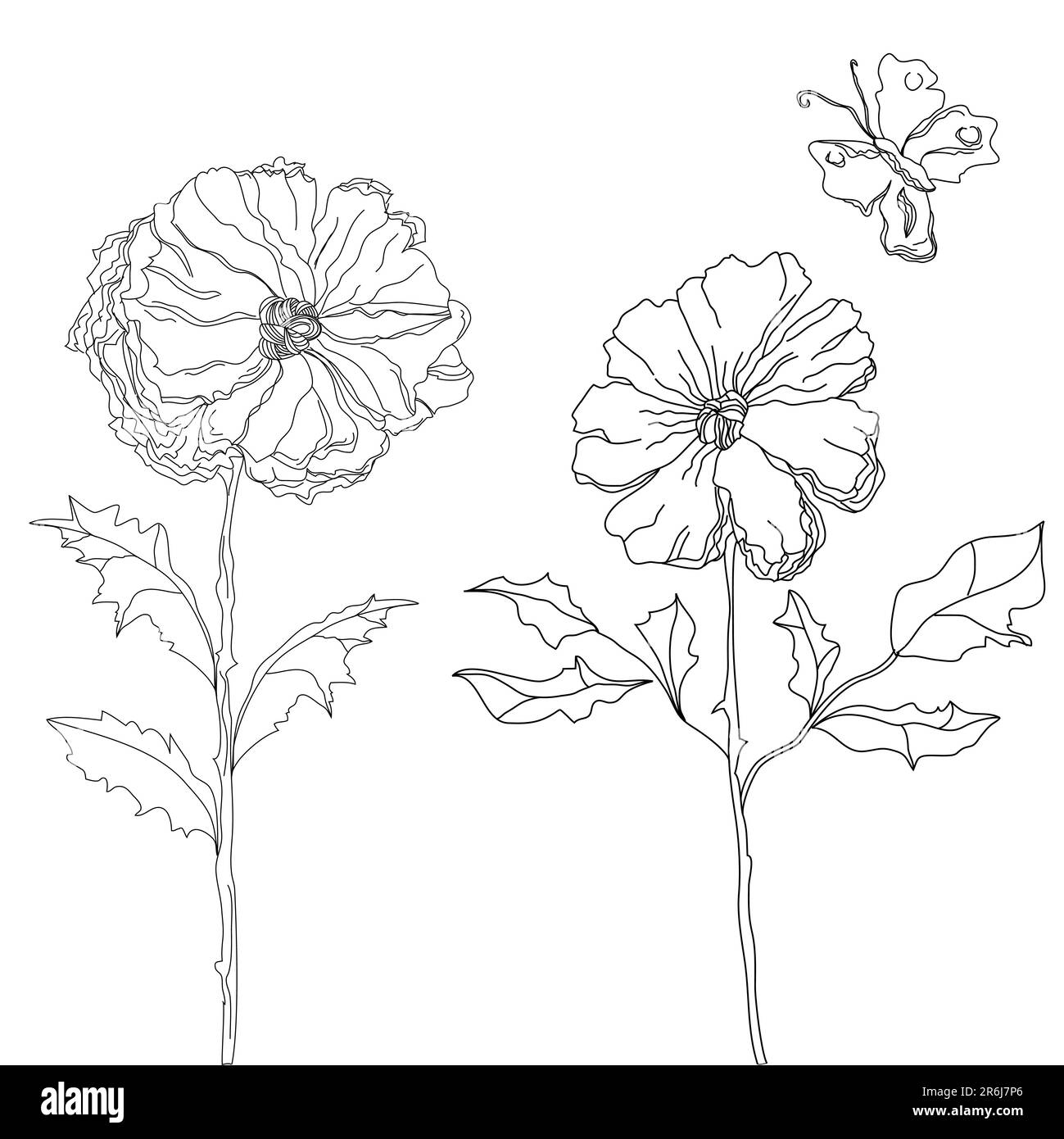 Esquisser avec des fleurs Illustration de Vecteur