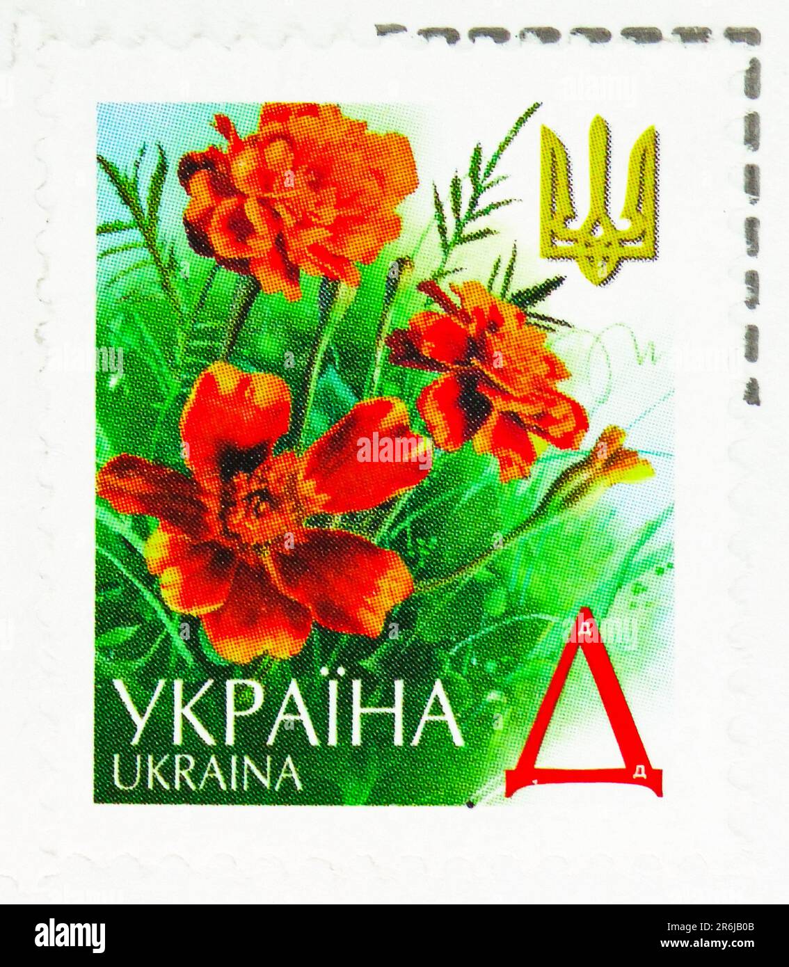 MOSCOU, RUSSIE - JUIN 3 2023: Timbre-poste imprimé en Ukraine montre Marigolds, cinquième et sixième série définitive, vers 2001 Banque D'Images