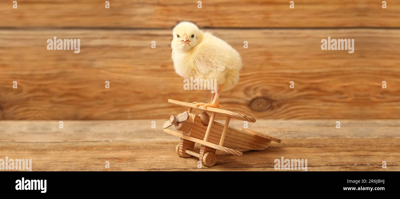 Joli petit poussin et jouet avion sur fond de bois Banque D'Images