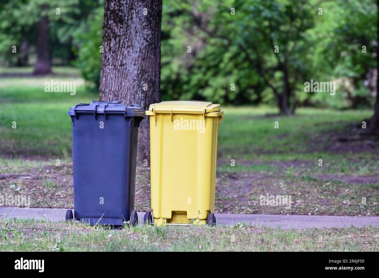 Poubelles noires et jaunes dans la rue. Séparez les déchets, économisez le concept de l'environnement. Collecte séparée des déchets, tri des déchets. Banque D'Images