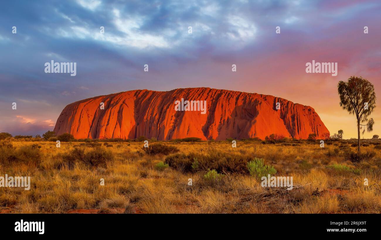 Uluru, territoire du Nord, Australie ; 10 juin 2023 - coucher de soleil à Uluru, le célèbre monolithe de roche gigantesque dans le désert australien. Banque D'Images