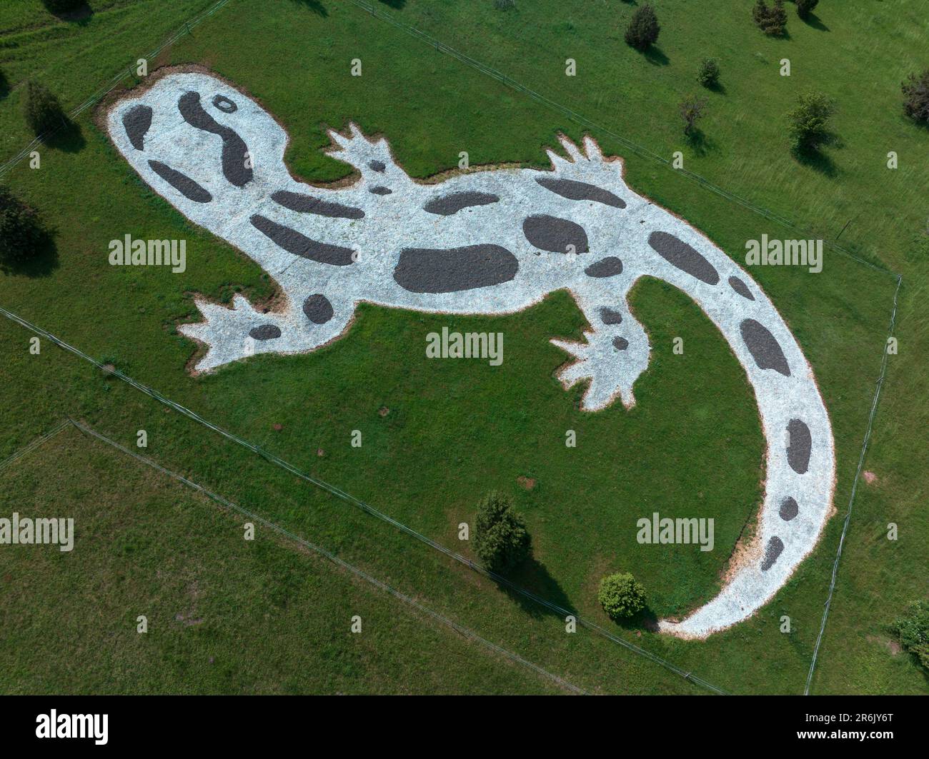 Décoration en forme de salamandre à flanc de colline. Il y a dans la zone réservée nationale d'Aggtelek Karst, à côté du village de Szinsetri. Banque D'Images