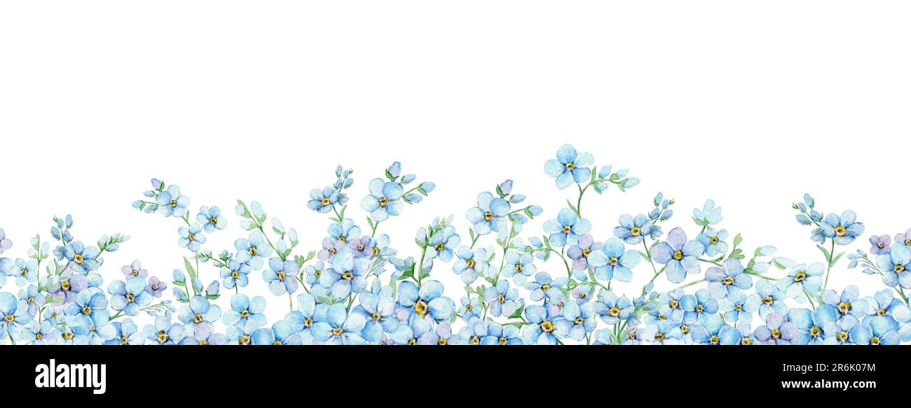 Bordure bleue sans couture Forget-me-nots. Fleurs d'été Scorpion Grass, Myosotis. Dessin main aquarelle. Bannière sans fin pour l'emballage, textile Banque D'Images