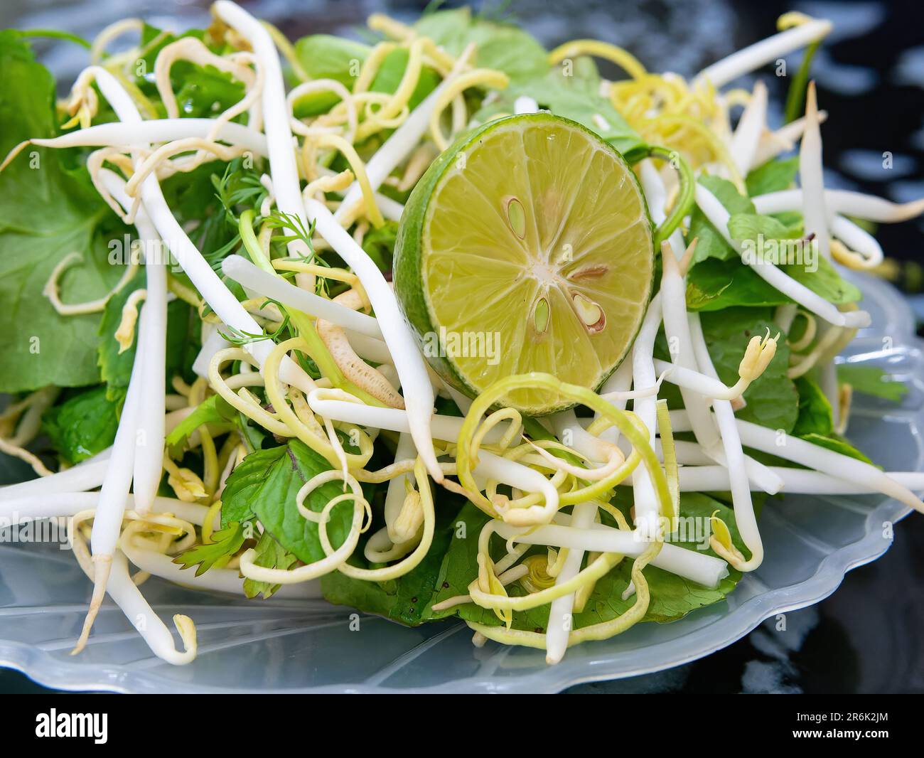 Salade de germes de haricots vietnamiens à la chaux et aux herbes, chant rau, dans un restaurant de Thanh Hoa, dans le nord du Vietnam. Banque D'Images