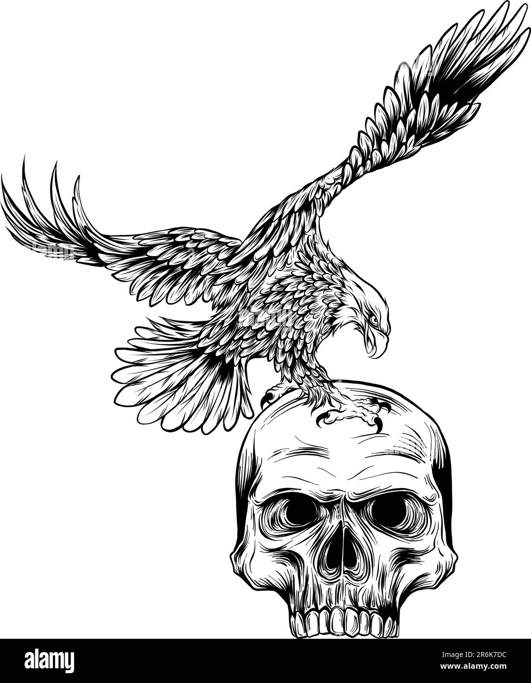illustration vectorielle de l'aigle monochrome sur un arrière-plan isolé du crâne humain Illustration de Vecteur