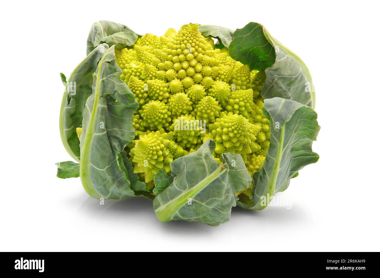 Chou brocoli Romanesco Chou-fleur (ou romain) isolé sur fond blanc Banque D'Images