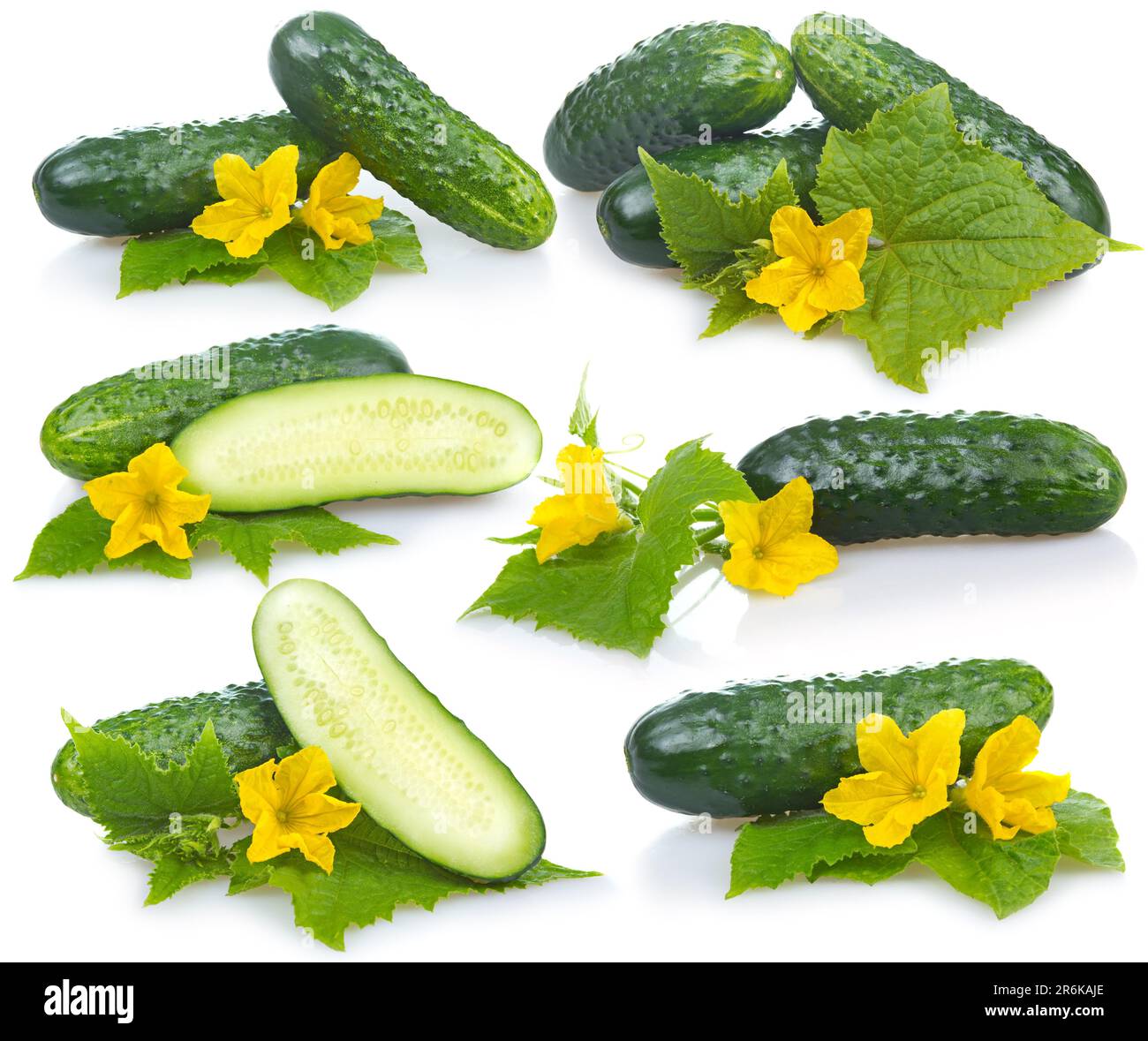 Ensemble de légumes concombres avec feuilles et fleurs isolées sur fond blanc Banque D'Images