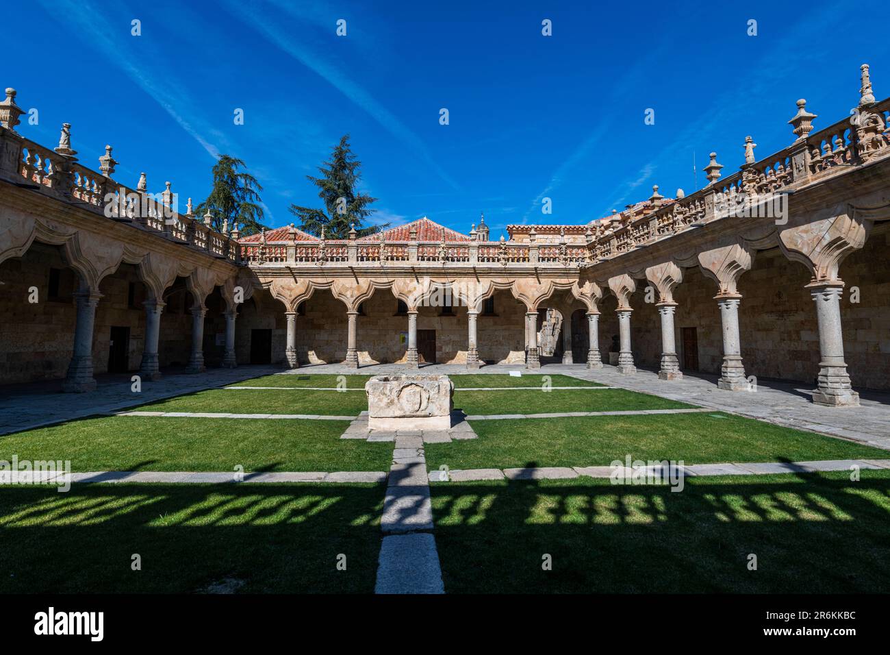 Escuelas Menores, Salamanque, site classé au patrimoine mondial de l'UNESCO, Castille et Leon, Espagne, Europe Banque D'Images
