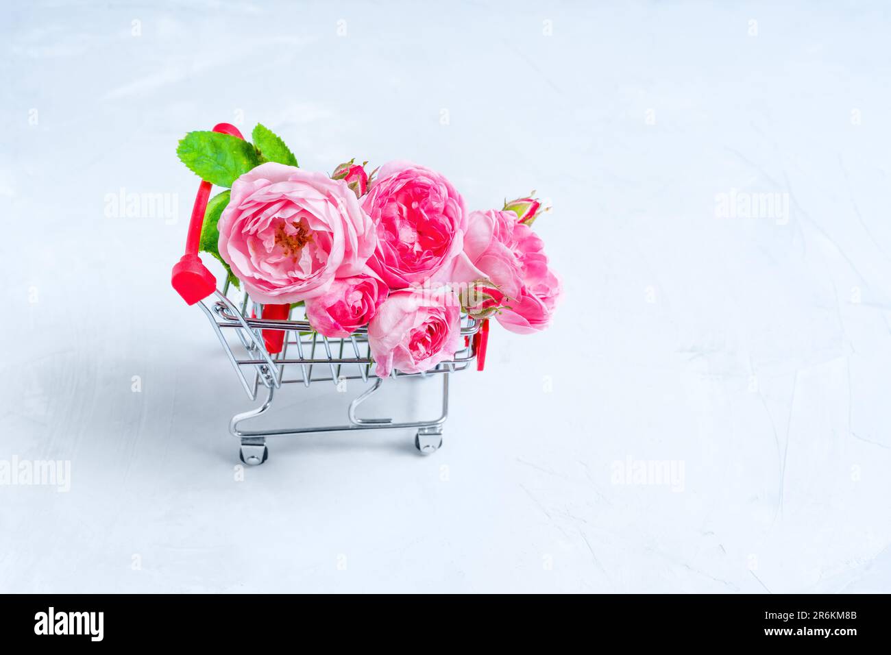 Petit bouquet de roses de thé dans un chariot de poussée miniature isolé sur un fond en béton avec espace de copie. Concept floral créatif. Banque D'Images