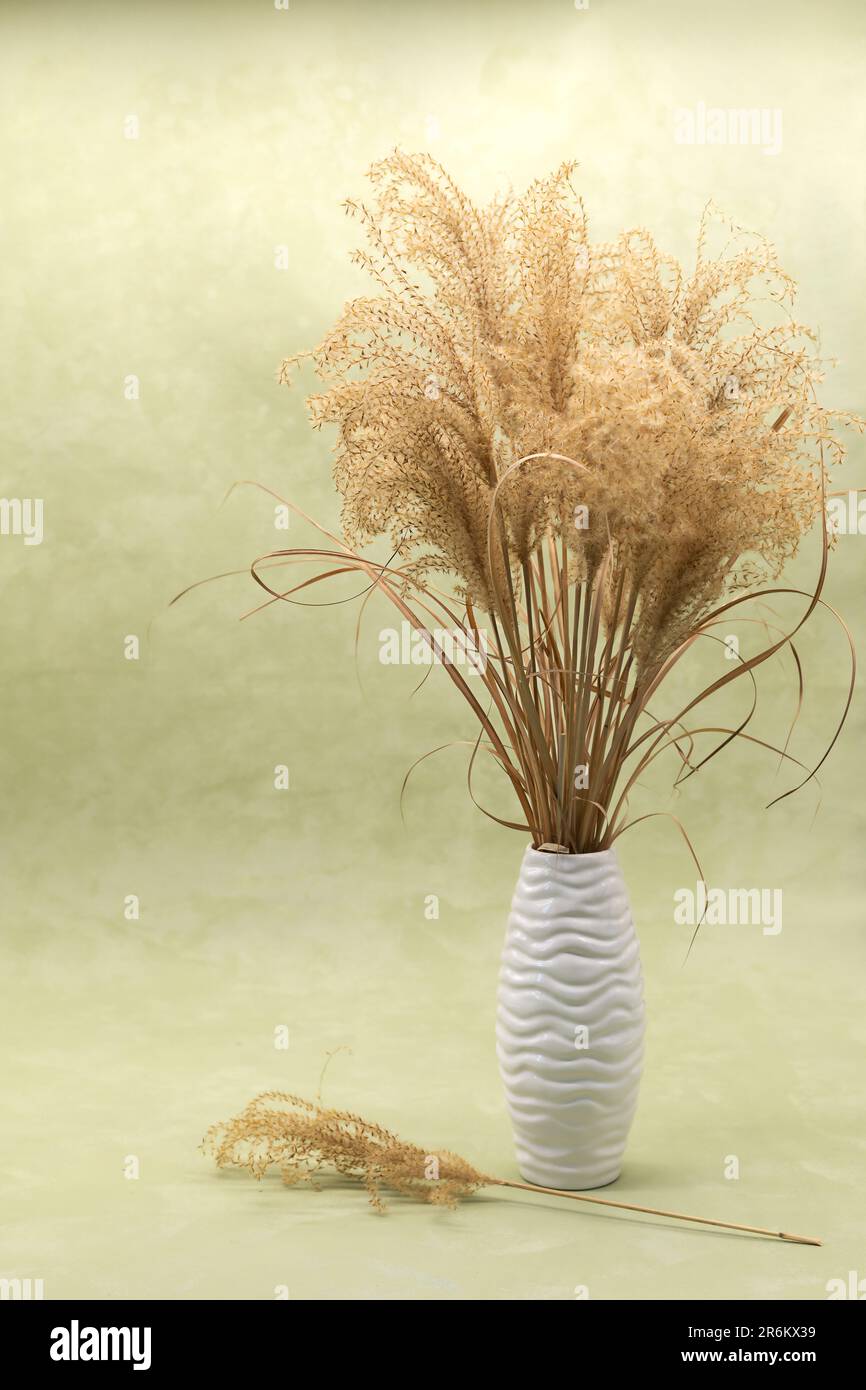 bouquet de fleurs séchées dans un vase sur fond olive de style boho Banque D'Images