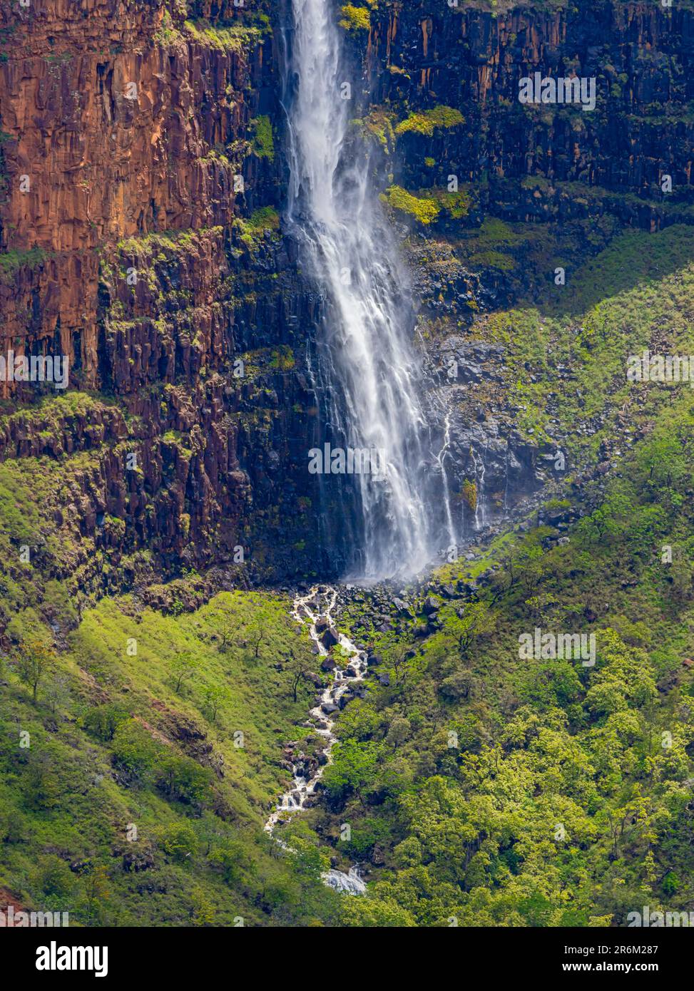 Waipo'o Falls de l'autre côté de Waimea Canyon, parc national de Waimea, Kauai, Hawaii, États-Unis Banque D'Images
