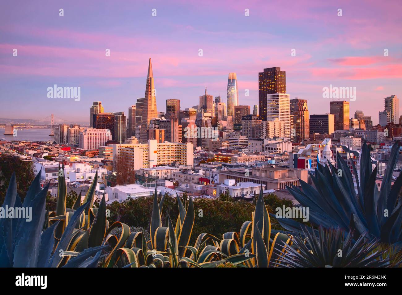 Une vue panoramique de San Francisco au coucher du soleil rose en Californie Banque D'Images