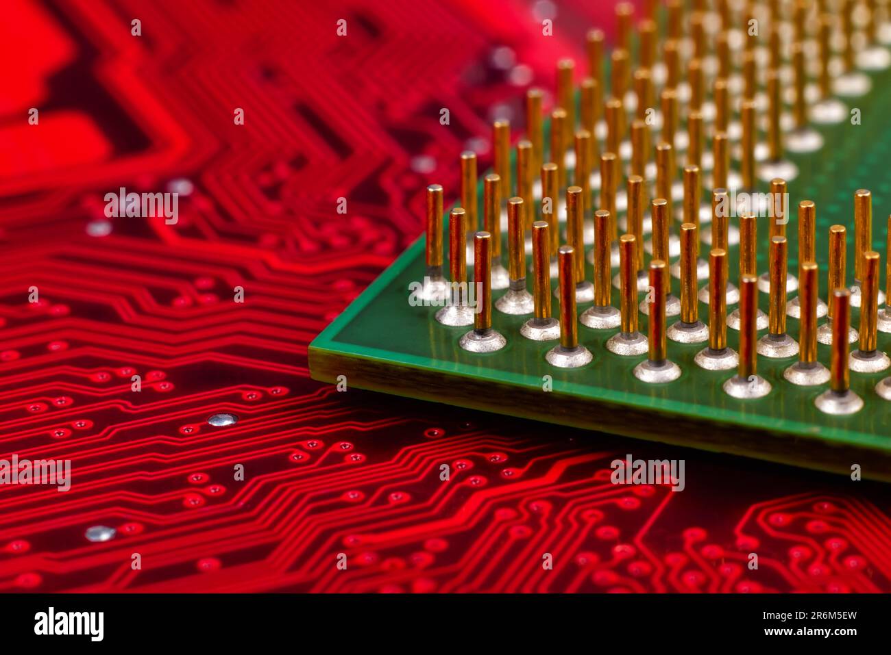 puce cpu de l'ordinateur sur la carte mère rouge, très gros plan Banque D'Images