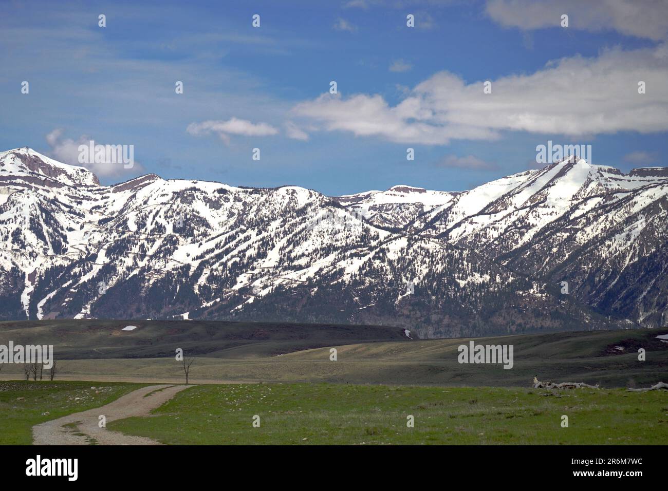 Route menant à des montagnes enneigées dans le parc national de Grand Teton Banque D'Images