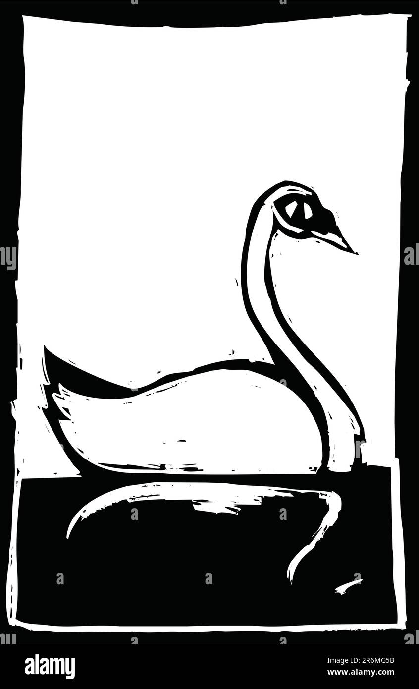 Cygne blanc nageant dans un étang. Illustration de Vecteur Cygne blanc nageant dans un étang. Illustration de Vecteur