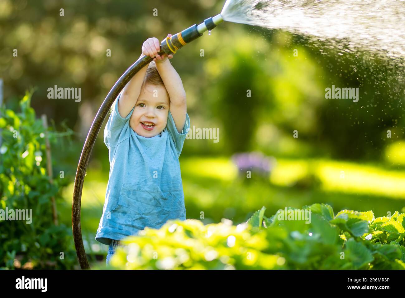 Un adorable tout-petit garçon arrosoir les parterres de fleurs dans le  jardin le jour de l'été. Enfant utilisant le tuyau d'arrosage pour arroser  les légumes. Enfant aidant avec les tâches quotidiennes. Momm