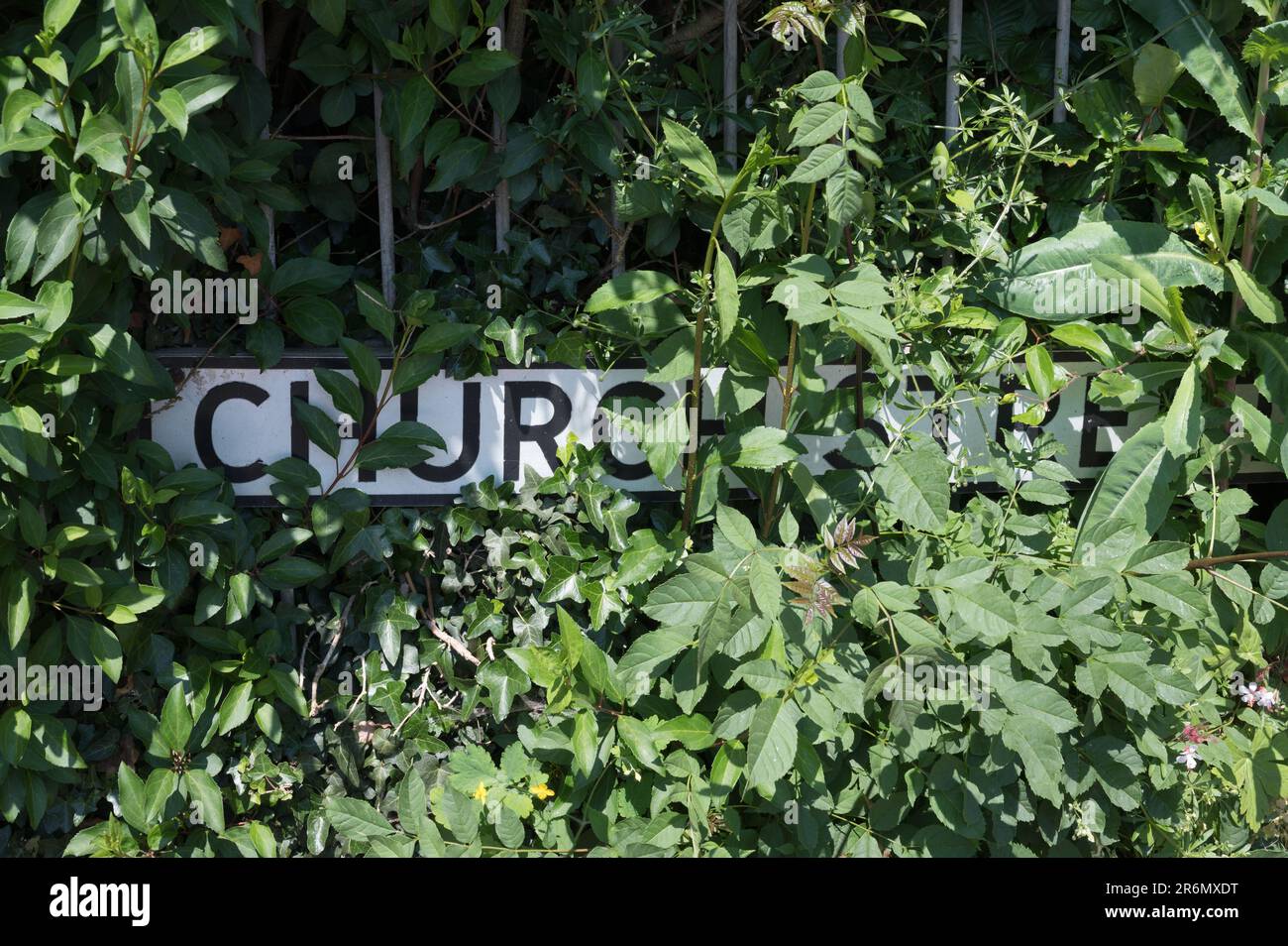 Le nom de la route est partiellement masqué par les feuilles et les mauvaises herbes. Church Street, Chesham, Buckinghamshire, Angleterre, Royaume-Uni Banque D'Images