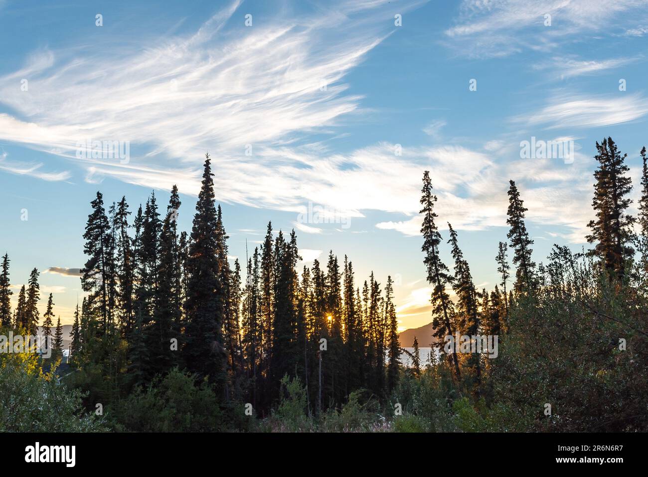 Vues estivales dans le nord du Canada avec des formations de nuages uniques et magnifiques prises dans la forêt boréale du territoire du Yukon, dans la région arctique près de l'Alaska. Banque D'Images