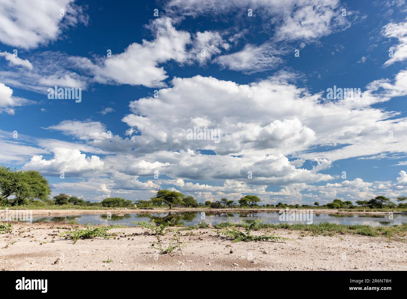 Vue sur les trous d'eau de la réserve Onkolo Hide - Onguma Game Reserve, Namibie, Afrique Banque D'Images