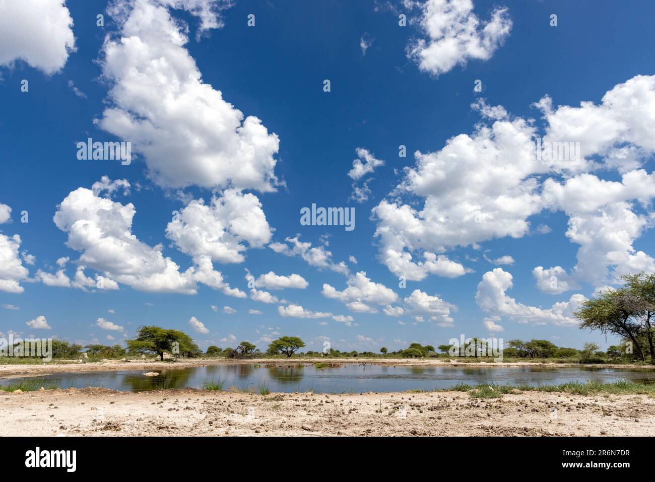 Vue sur les trous d'eau de la réserve Onkolo Hide - Onguma Game Reserve, Namibie, Afrique Banque D'Images