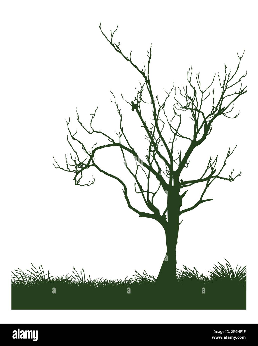 Vector illustration d'un arbre Illustration de Vecteur