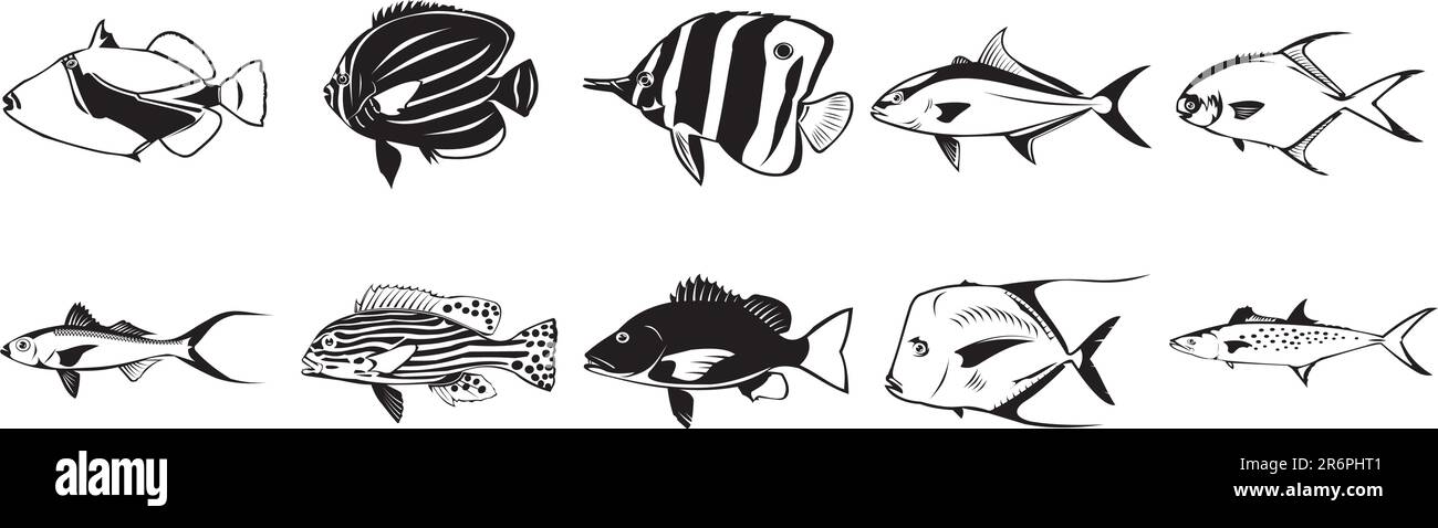 Collection d'illustrations EPS à vecteur lisse de divers poissons Illustration de Vecteur