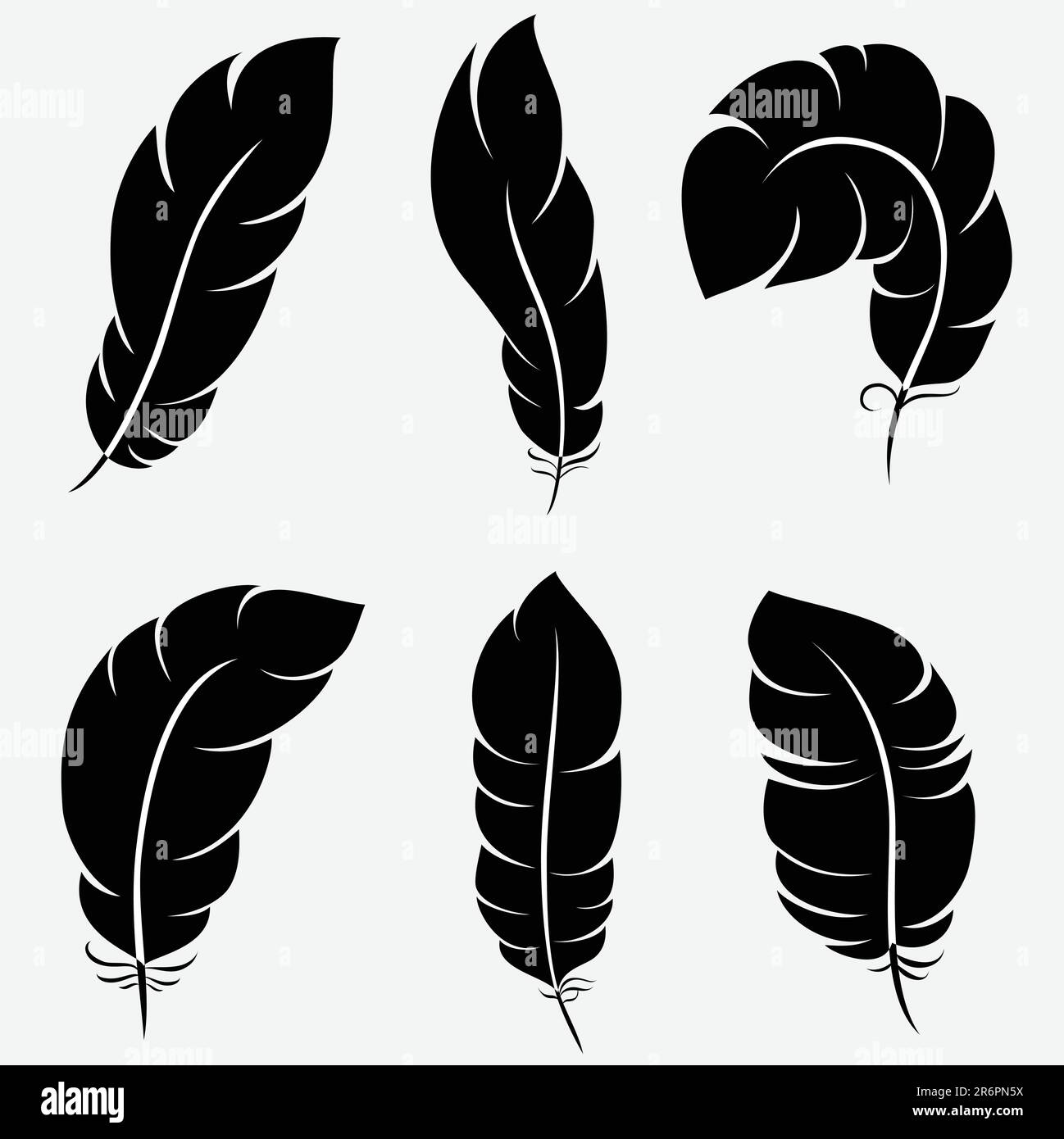 Six plumes élégantes pour votre design et votre décoration. L'illustration vectorielle peut être mise à l'échelle à n'importe quelle taille et facile à modifier. Illustration de Vecteur