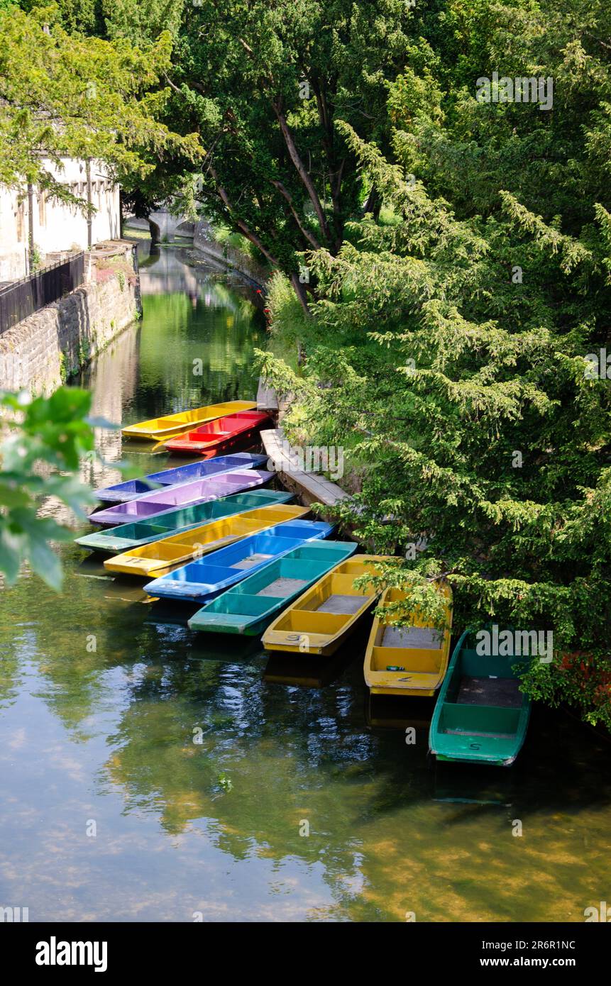 Punch sur la rivière Cherwell sous le pont de Magdalen, Oxford, Oxfordshire, Angleterre, Royaume-Uni. Banque D'Images