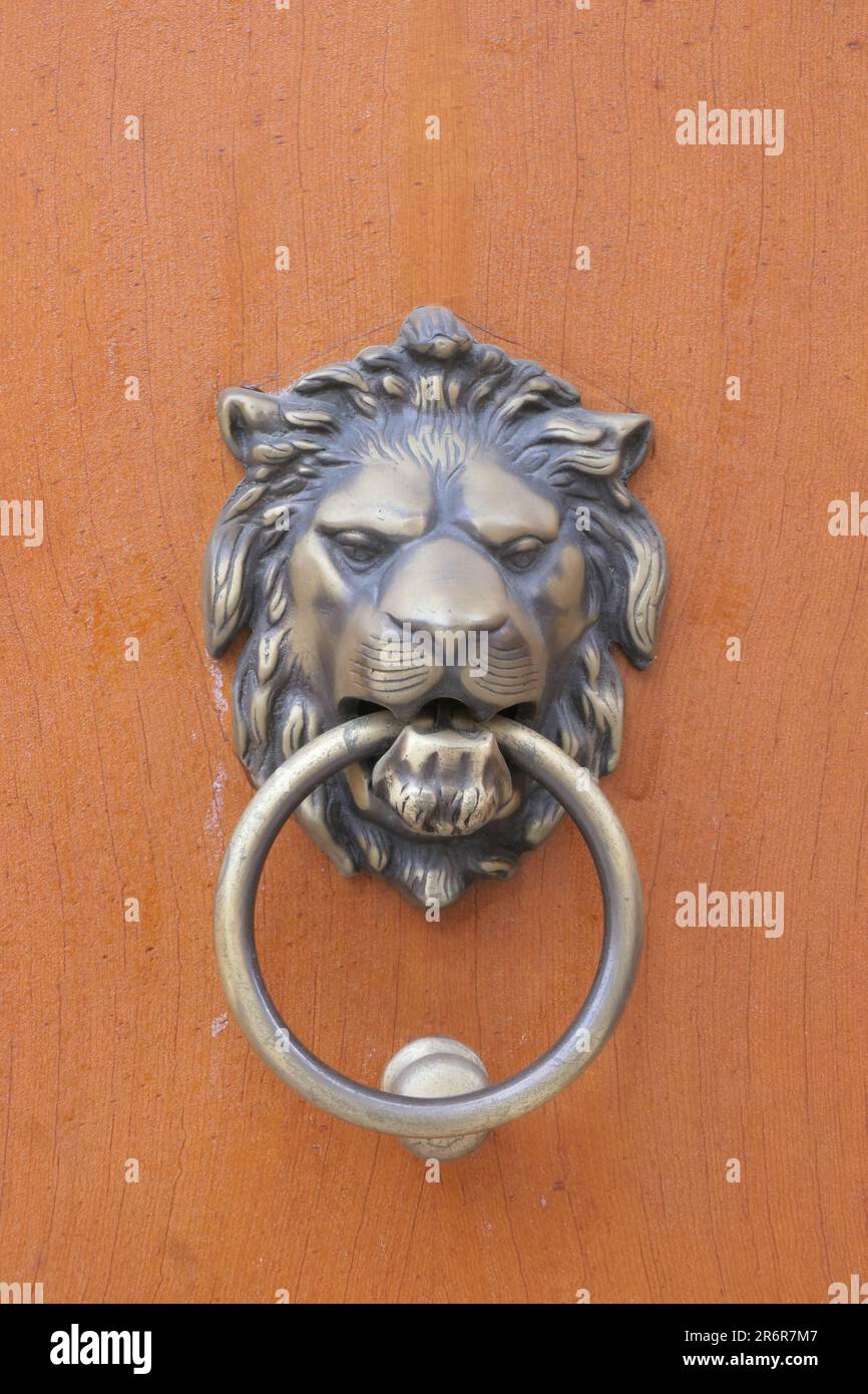 Poignée de porte sous forme de tête de lion Banque D'Images