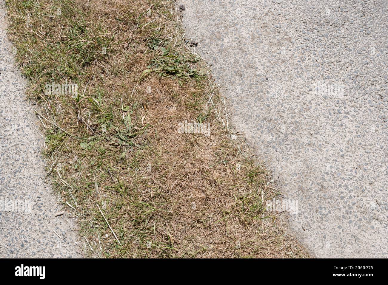 Herbe morte/mourante et mauvaises herbes dans la partie centrale de la route rurale éloignée de Cornwall. Peut-être ont-ils été pulvérisés avec de l'herbicide, mais une vague de chaleur a été activée. Banque D'Images