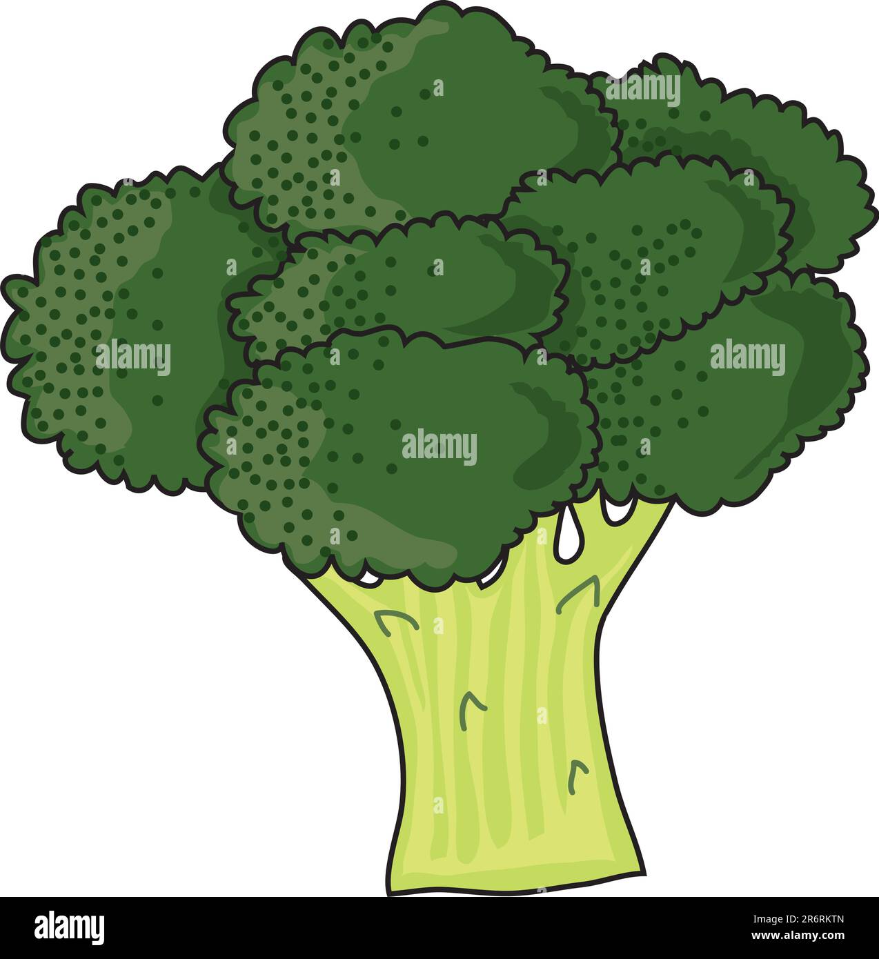 Un bouquet de brocolli vert et feuillu sur fond blanc Illustration de Vecteur