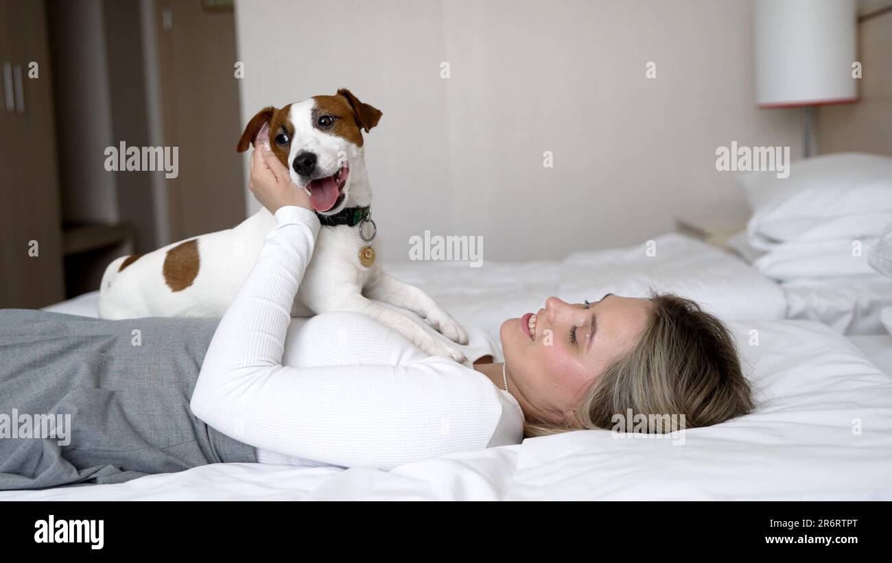 Une fille, ainsi qu'un chien Jack Russell, se trouve sur un lit dans une chambre d'hôtel. La fille est au lit, pas son chien. Chien aimant race Jacks Russell, avec son Banque D'Images