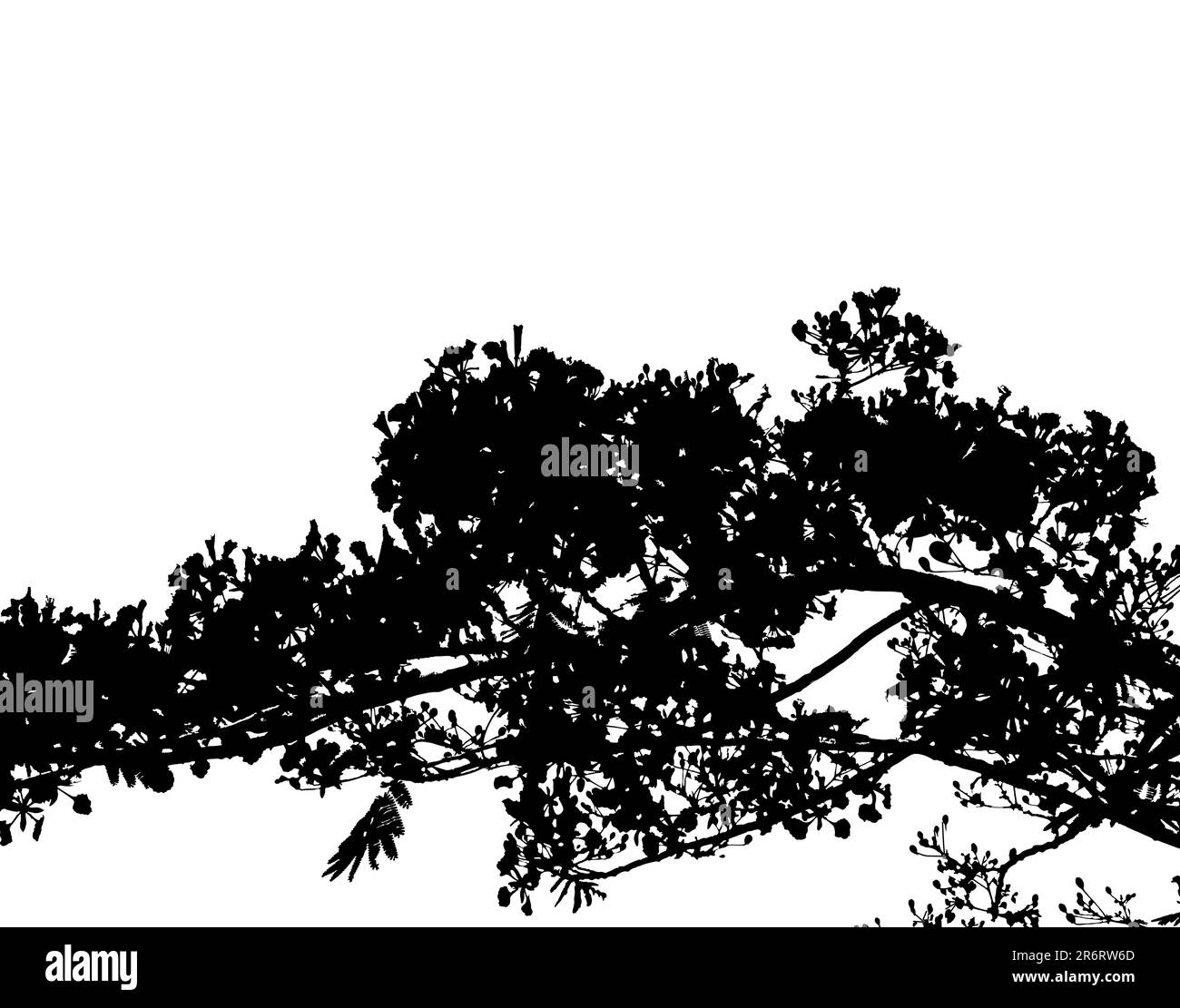 Silhouette vecteur modifiable d'une branche d'arbre Illustration de Vecteur