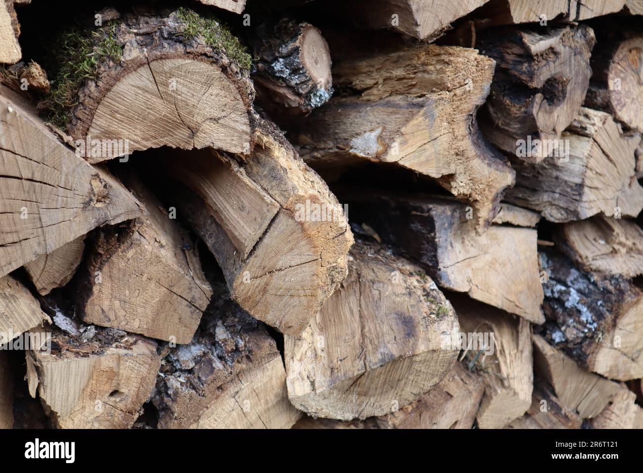 Une pile de bois avec une abondance de mousse verte qui pousse au-dessus d'eux placés contre un mur de pierre Banque D'Images