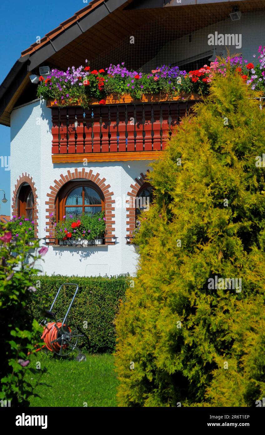 Fenêtre voûtée avec fleurs, balcon avec fleurs, jardin ornemental Banque D'Images