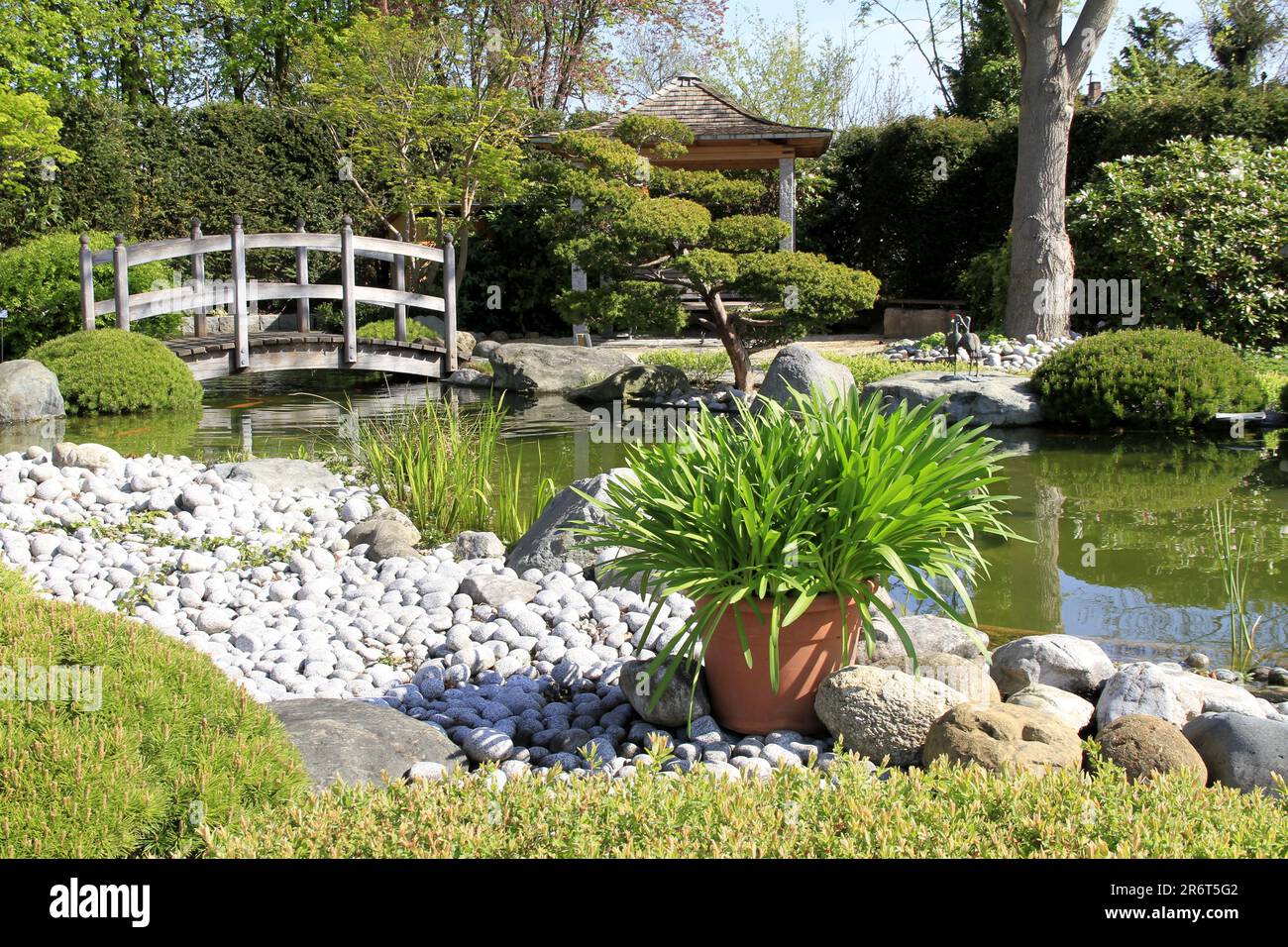 Chemin de gravier, jardin japonais, parc Dehner, pluie Banque D'Images
