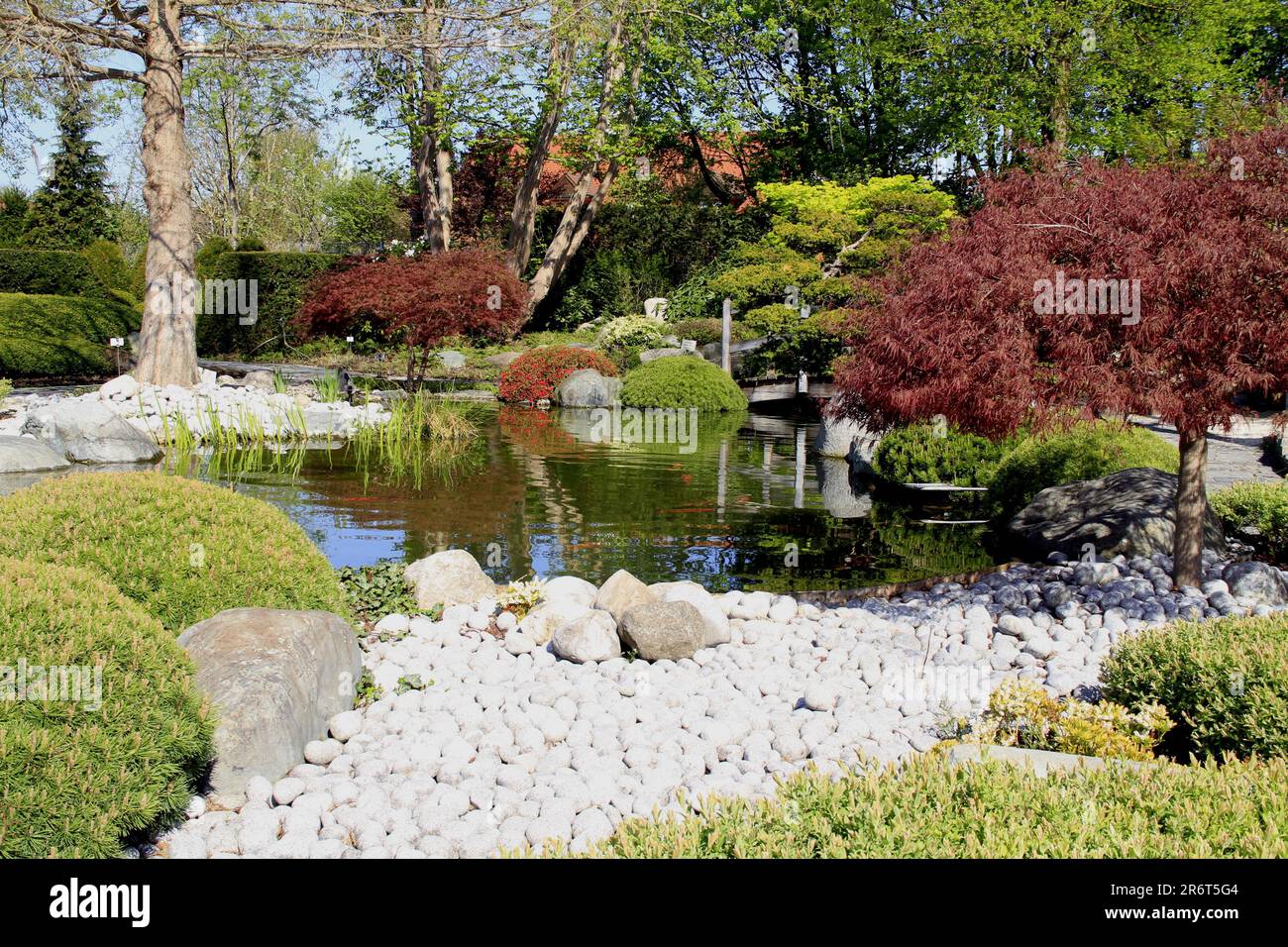 Chemin de gravier, jardin japonais, parc Dehner, pluie Banque D'Images