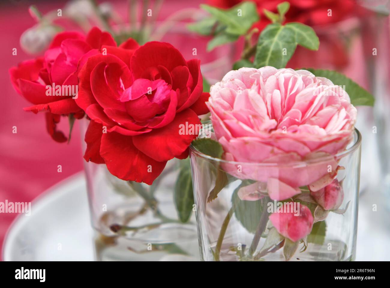 Rose, roses, rouge, fleur, fleur, fleurs, roses, déco, décoration, verre, vase de fleur, décoration de fleur Banque D'Images