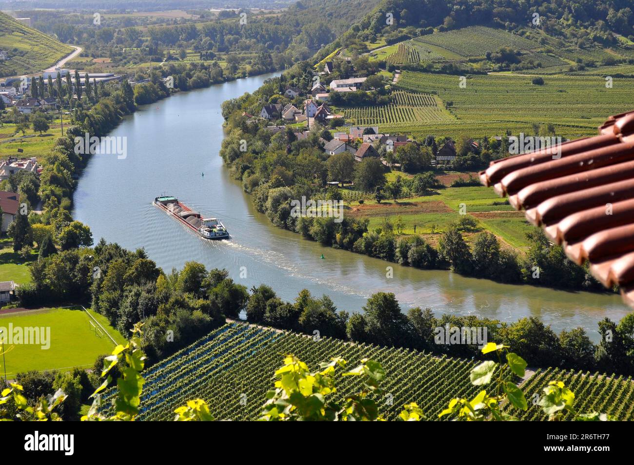 Terrasses de vignobles, vignobles, champs, prairies, pente raide, rivière : Neckar, boucle Neckar, sentier de randonnée à vin et à fruits près de Mundelsheim Banque D'Images