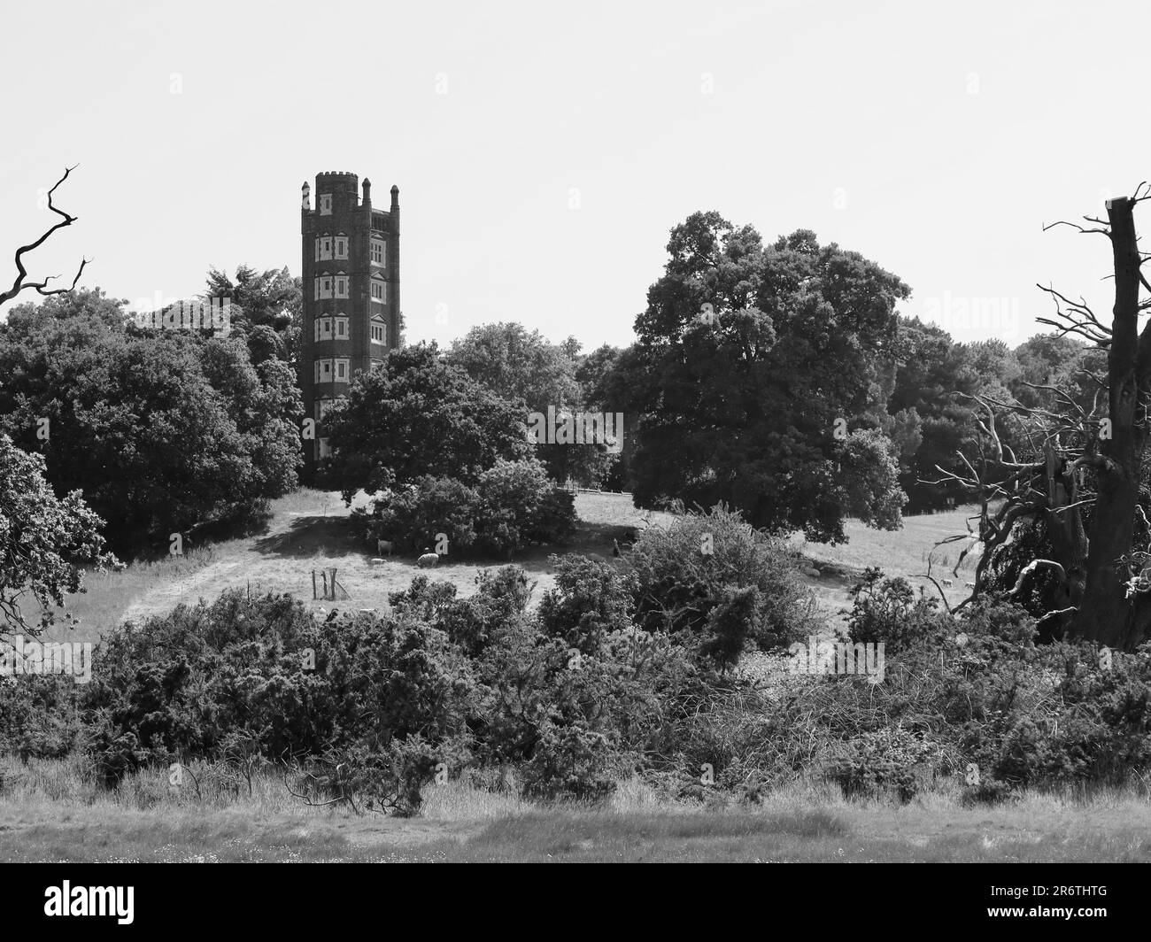 Freston, Ipswich, Suffolk - 11 juin 2023 : Freston Tower, hébergement de six étages avec vue imprenable sur la rivière Orwell. Image mono. Banque D'Images